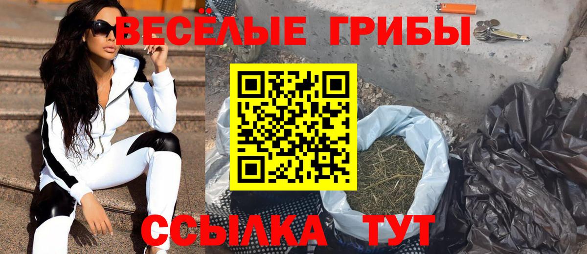 Псилоцибиновые грибы GOLDEN TEACHER Тимашёвск